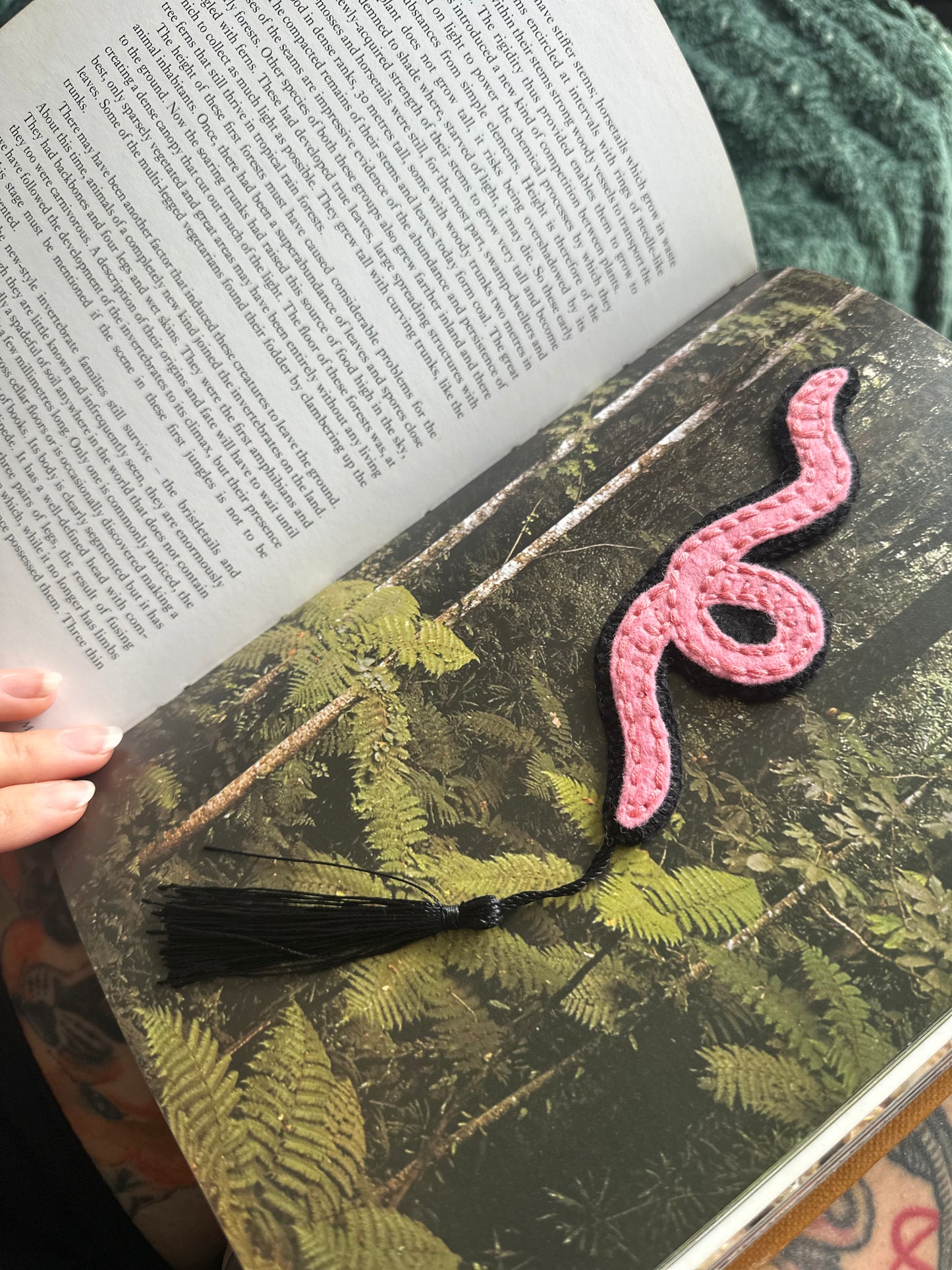 BOOKWORM