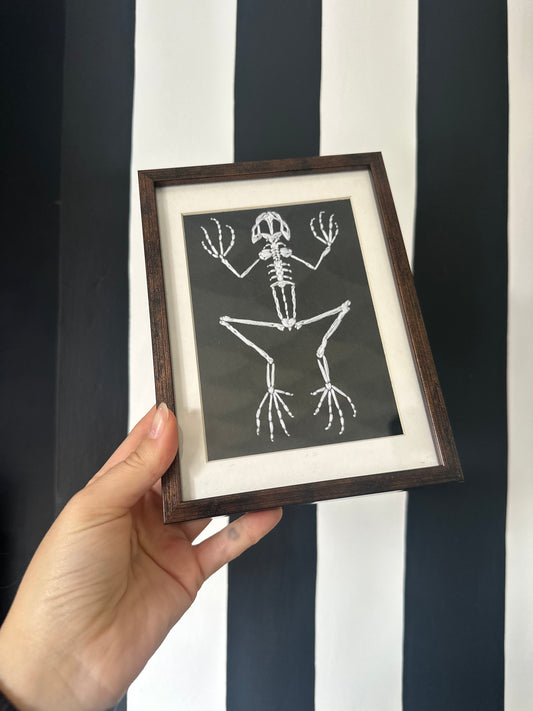 EMBROIDERED TAXIDERMY FROG