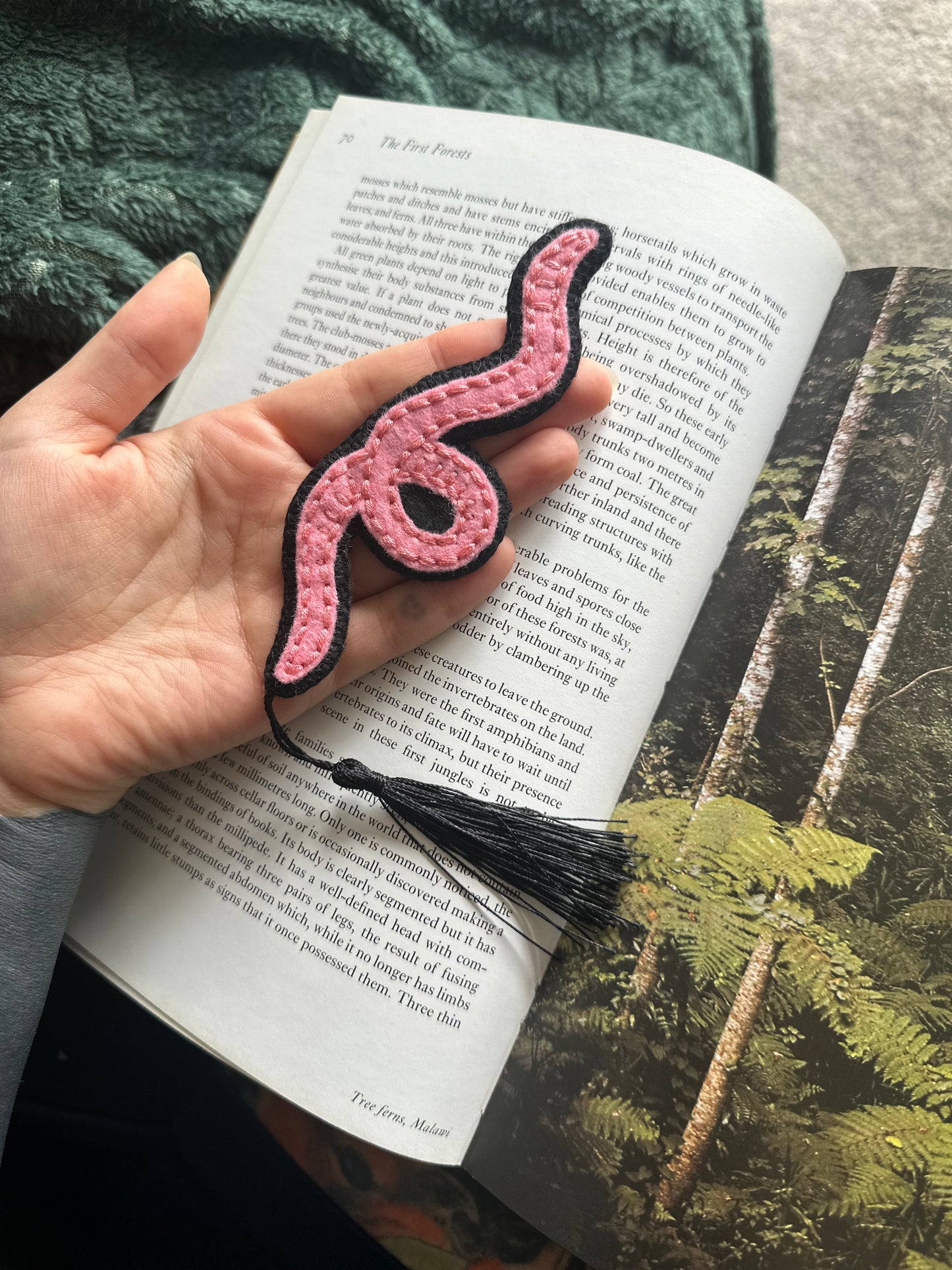 BOOKWORM
