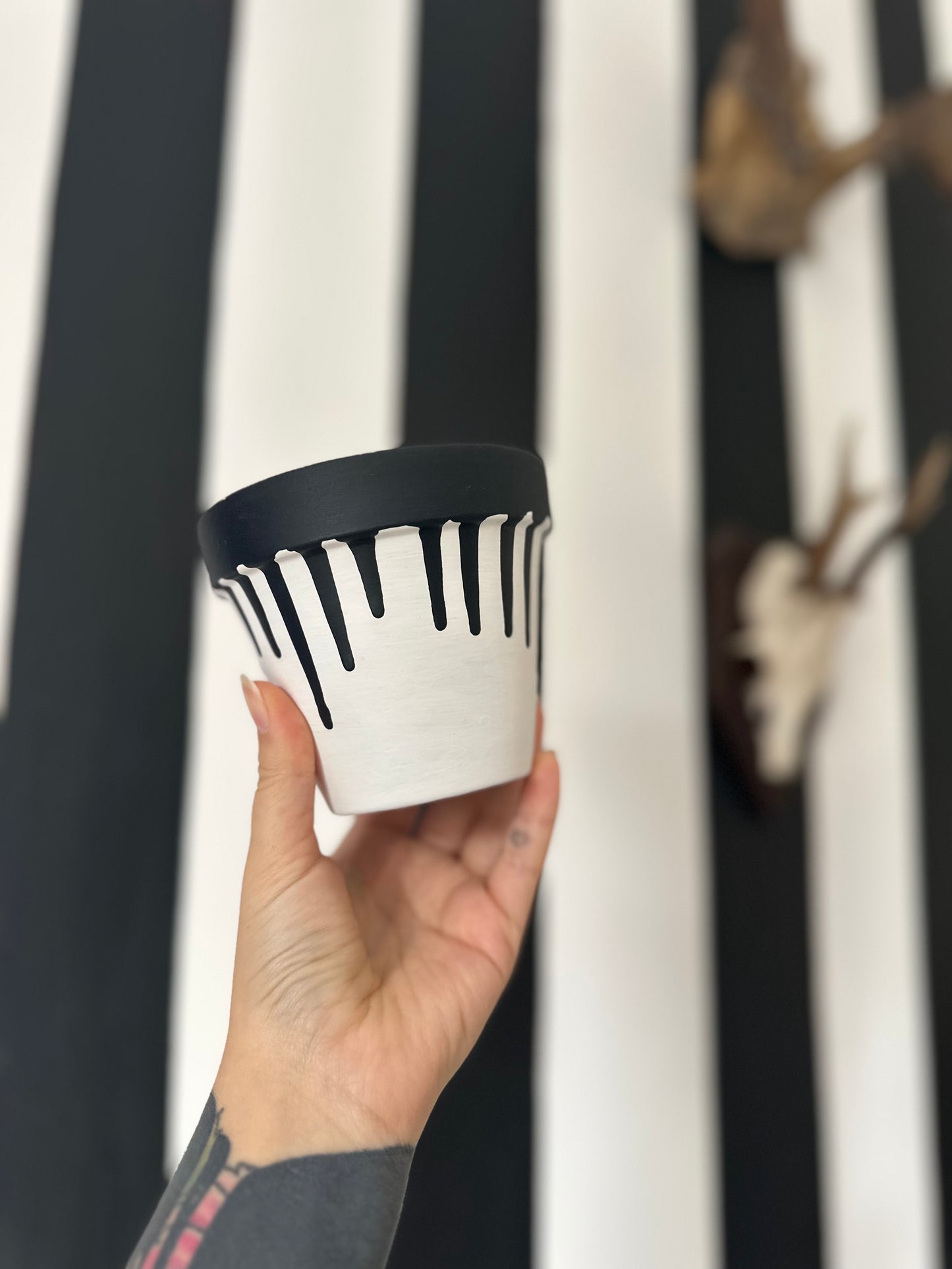 DRIPPY PLANT POT