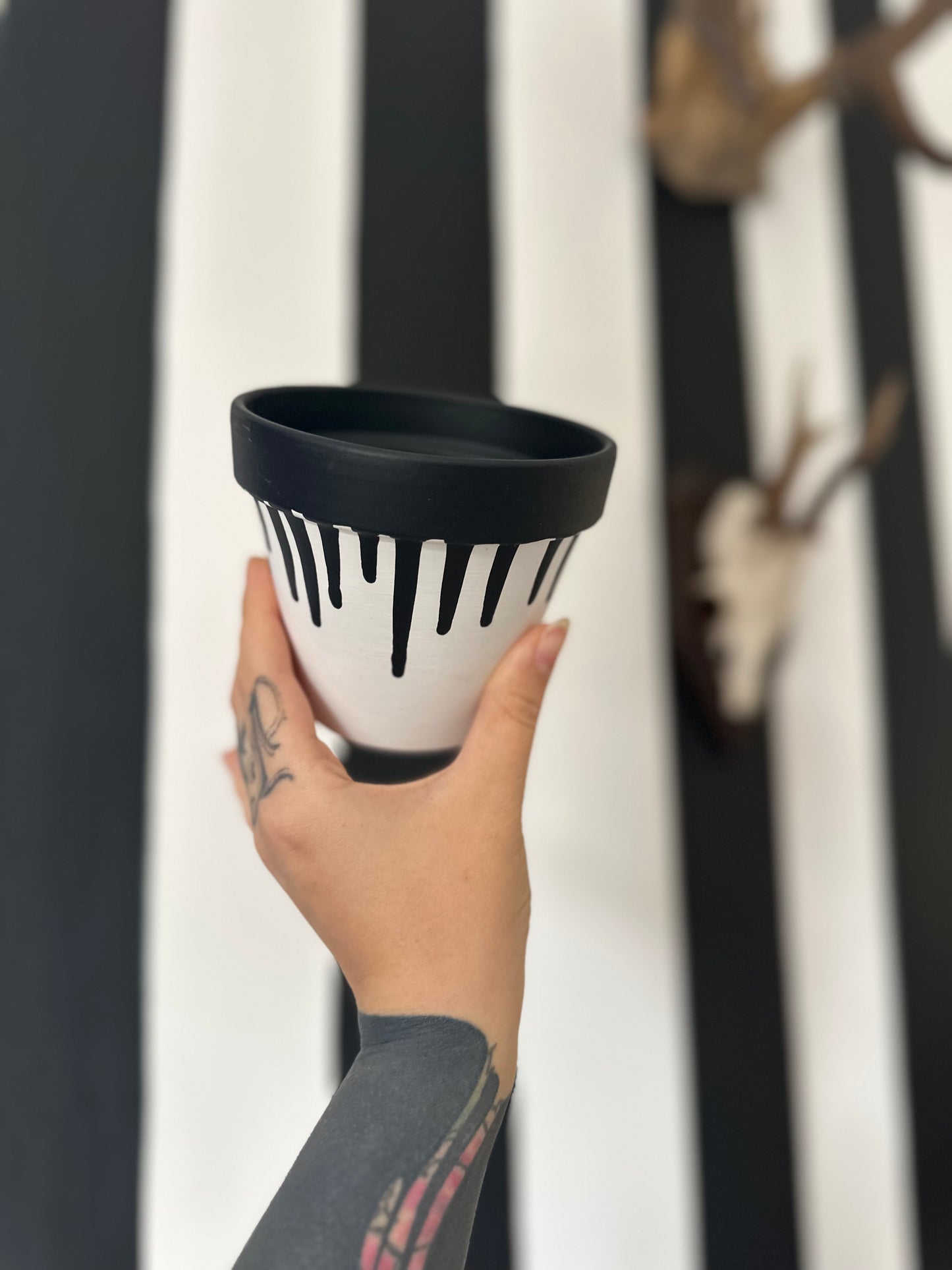 DRIPPY PLANT POT